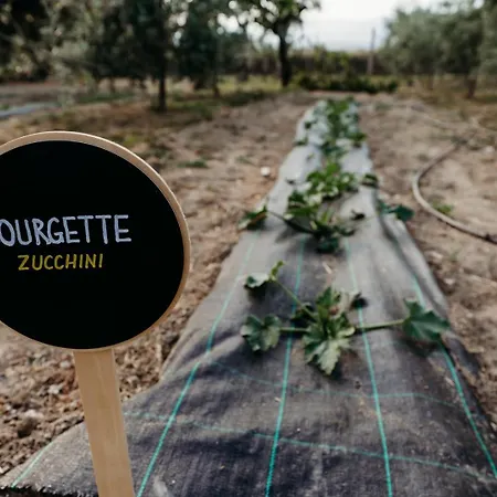 펜션 Quinta De S. Miguel