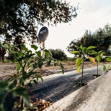 Quinta De S. Miguel Fundao