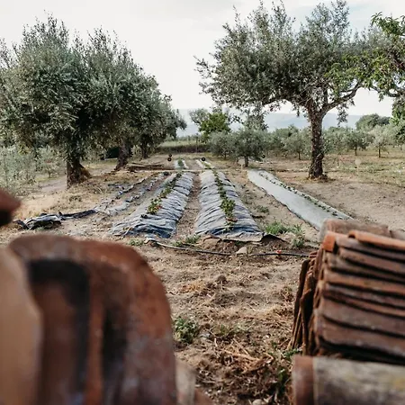 펜션 Quinta De S. Miguel *