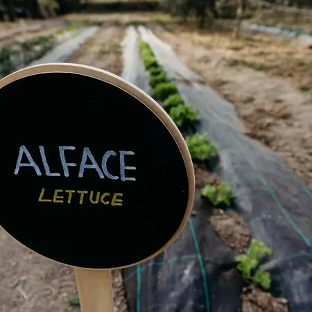 Nyaraló Quinta De S. Miguel Fundão