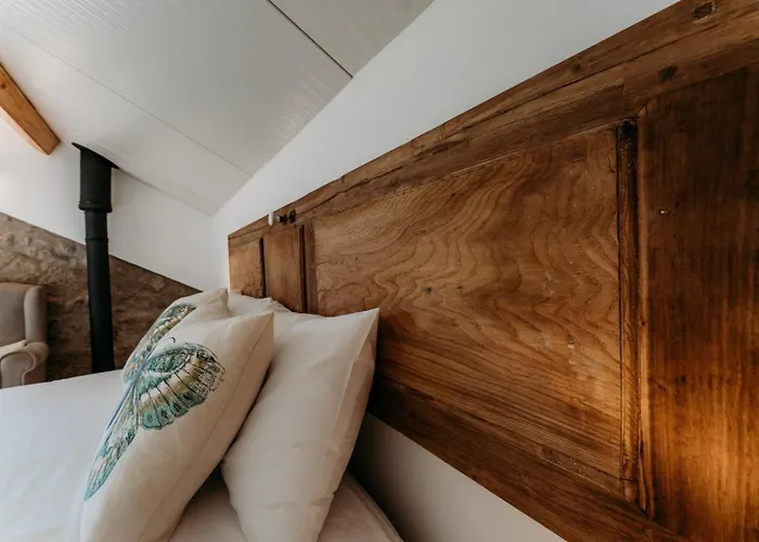 Quinta De S. Miguel Fundão