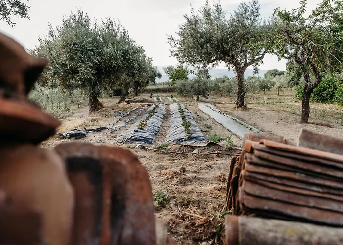 Casa de Férias Quinta De S. Miguel *
